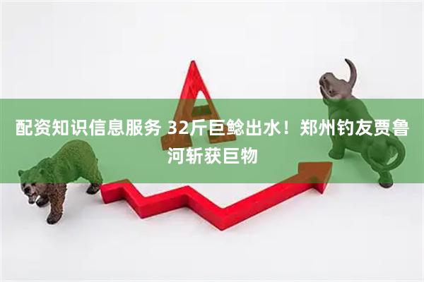 配资知识信息服务 32斤巨鲶出水！郑州钓友贾鲁河斩获巨物