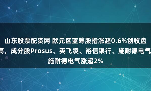 山东股票配资网 欧元区蓝筹股指涨超0.6%创收盘历史新高，成分股Prosus、英飞凌、裕信银行、施耐德电气涨超2%