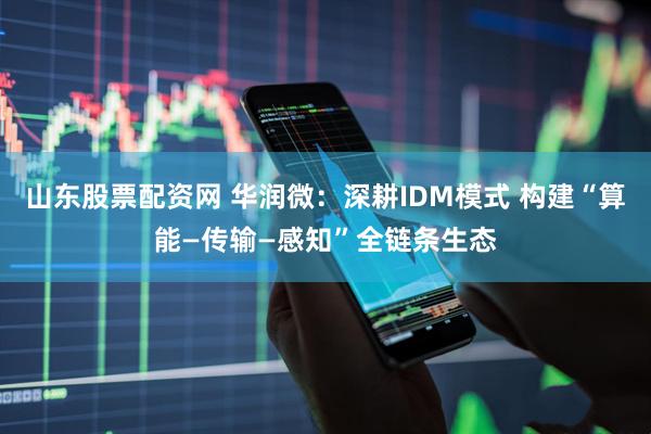 山东股票配资网 华润微：深耕IDM模式 构建“算能—传输—感知”全链条生态